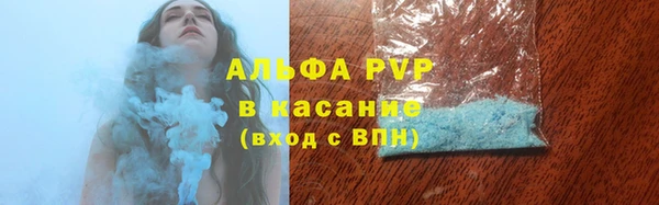 гидра Кодинск