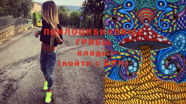 герыч Козельск