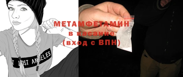 гидра Кодинск