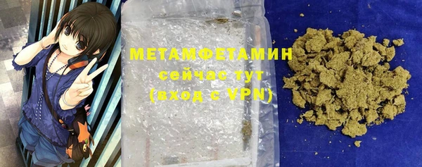 гидра Кодинск