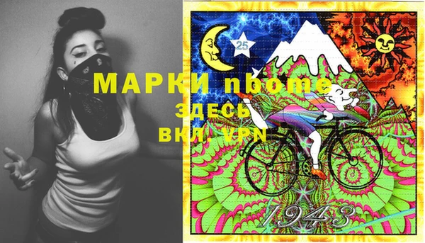 гидра Кодинск