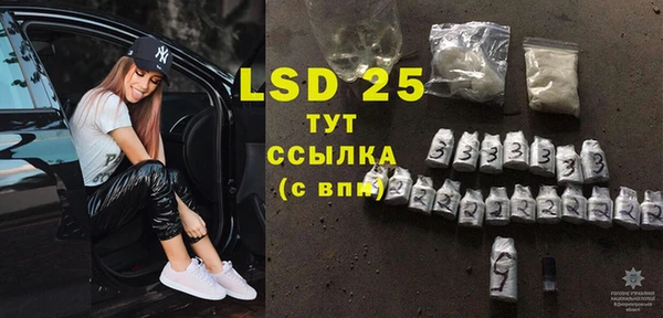 гидра Кодинск