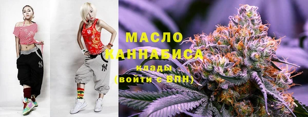 гидра Кодинск