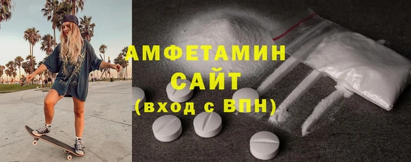 гидра Кодинск