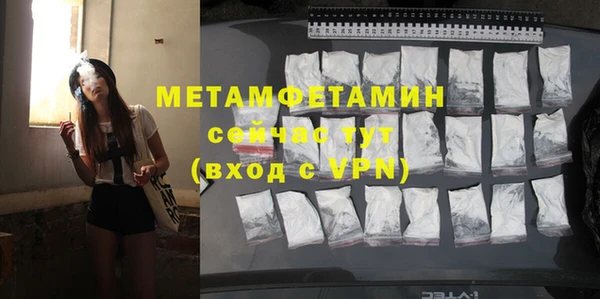 гидра Кодинск