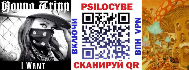 Купить где  Торопец  Галлюциногенные грибы Magic Shrooms 